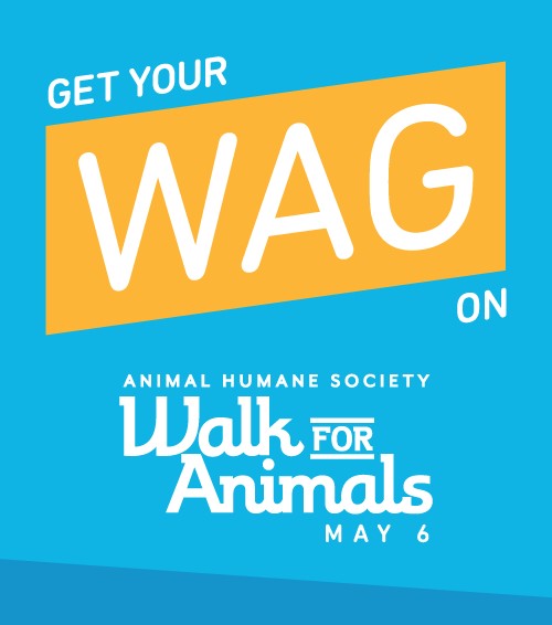 Walk for Animals